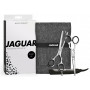 Jaguar Lumen saxset
